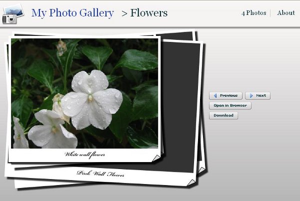 Flex Photo Album using Custom Page Flip Effect and Deep Linking Home